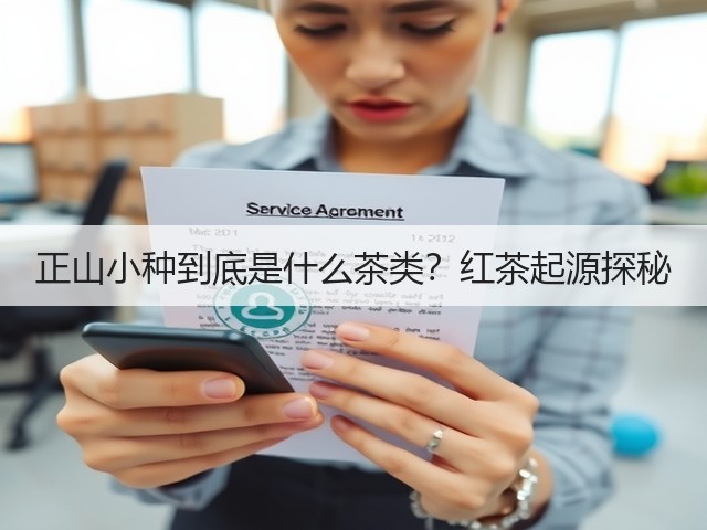 正山小种到底是什么茶类?红茶起源探秘 正山小种到底是什么茶类?红茶起源探秘