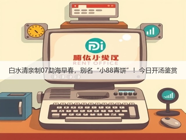 白水清亲制07勐海早春,别名“小88青饼”!今日开汤鉴赏 白水清亲制07勐海早春,别名“小88青饼”!今日开汤鉴赏