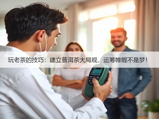 玩老茶的技巧：建立普洱茶大局观，运筹帷幄不是梦！