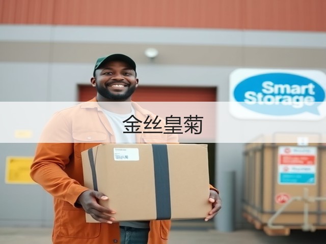 金丝皇菊 金丝皇菊