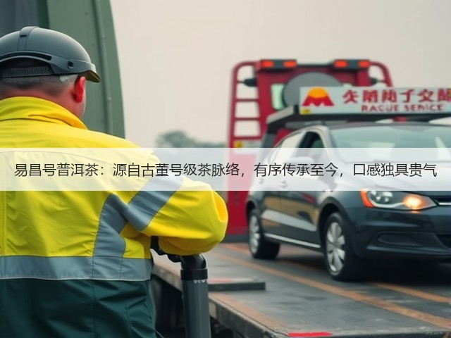 易昌号普洱茶:源自古董号级茶脉络,有序传承至今,口感独具贵气 易昌号普洱茶:源自古董号级茶脉络,有序传承至今,口感独具贵气