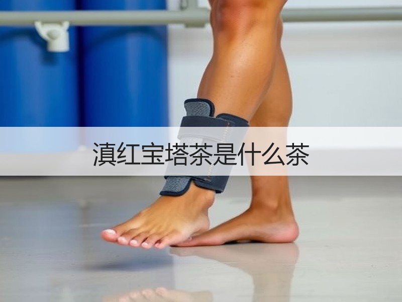 滇红宝塔茶是什么茶