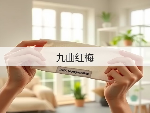 九曲红梅 九曲红梅