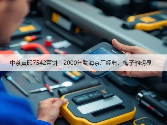 中茶黄印7542青饼，2000年勐海茶厂经典，梅子韵明显！