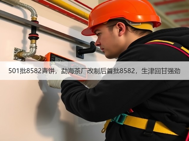 501批8582青饼，勐海茶厂改制后首批8582，生津回甘强劲