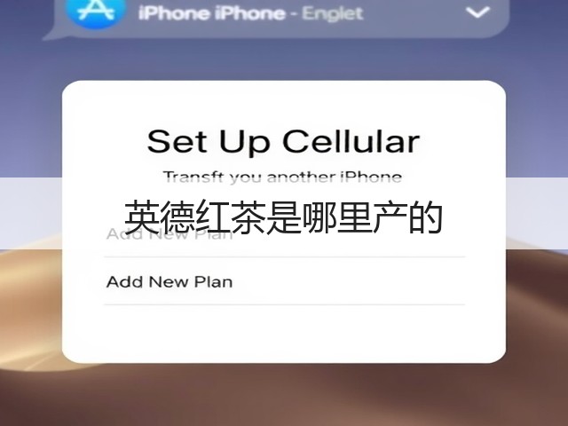 英德红茶是哪里产的
