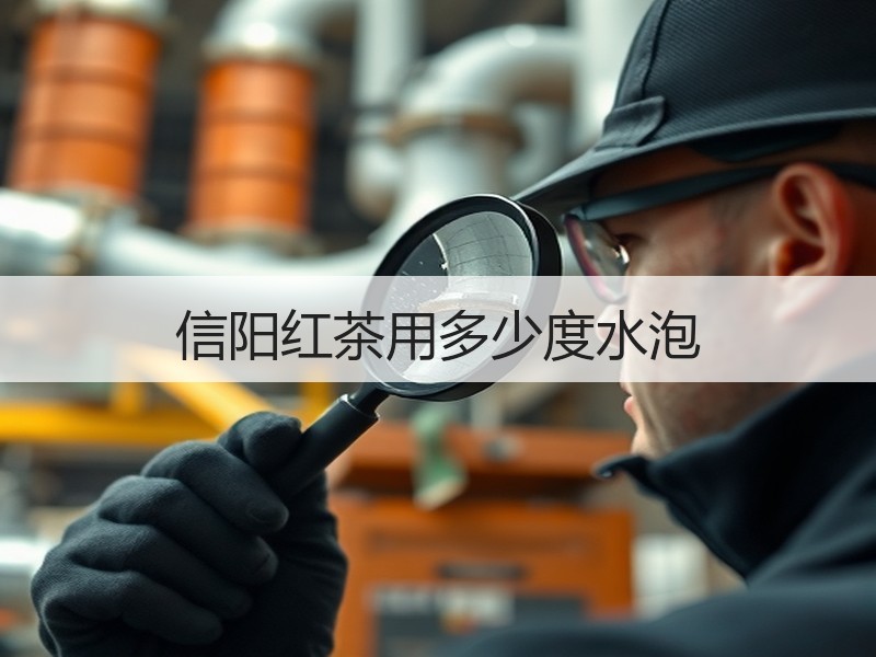 信阳红茶用多少度水泡