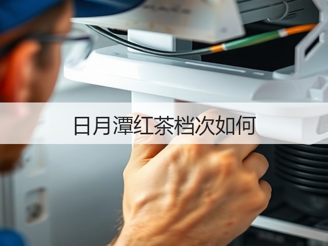 日月潭红茶档次如何