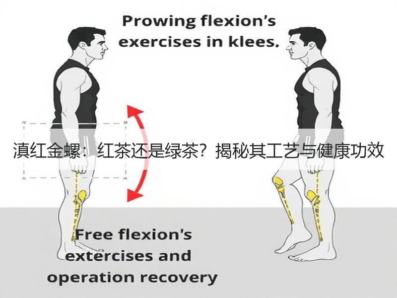 滇红金螺:红茶还是绿茶?揭秘其工艺与健康功效 滇红金螺:红茶还是绿茶?揭秘其工艺与健康功效
