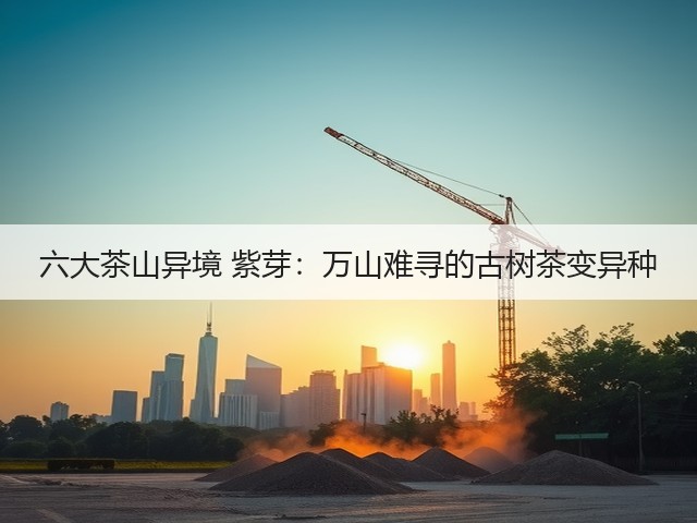 六大茶山异境 紫芽：万山难寻的古树茶变异种