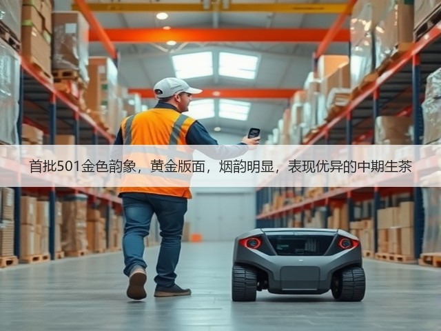 首批501金色韵象，黄金版面，烟韵明显，表现优异的中期生茶